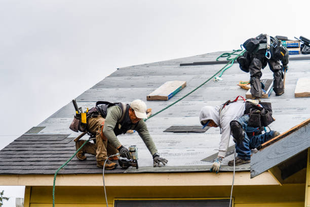 Professional Gutter Installation technician working in Marshall, AR